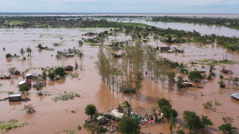 Flood in Adamawa