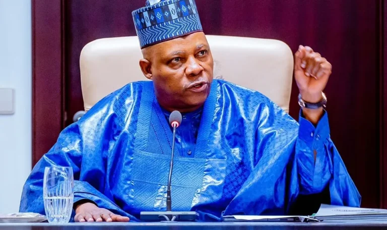 Vice President, Kashim Shettima