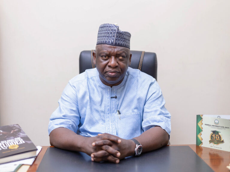 When I joined FUOYE, I thought I’d come to a wrong place – Ogunwole, new VC