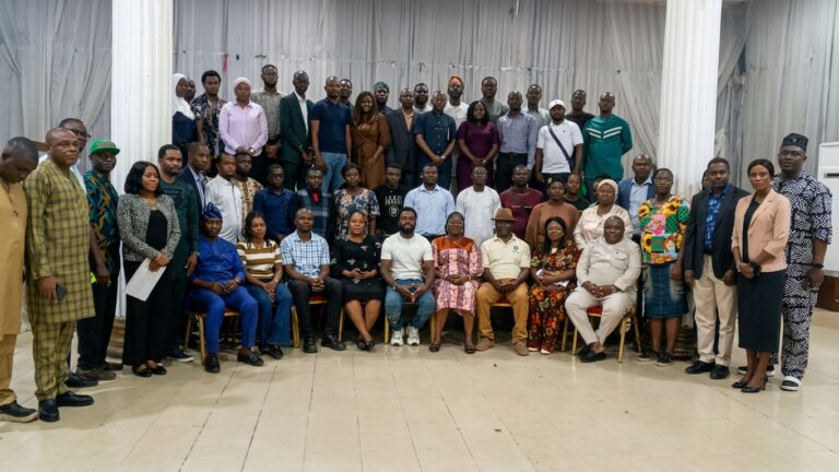 As Lagos embraces solar energy, skills gap puts installations at risk – Study